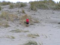 Klik op de foto voor groter formaat